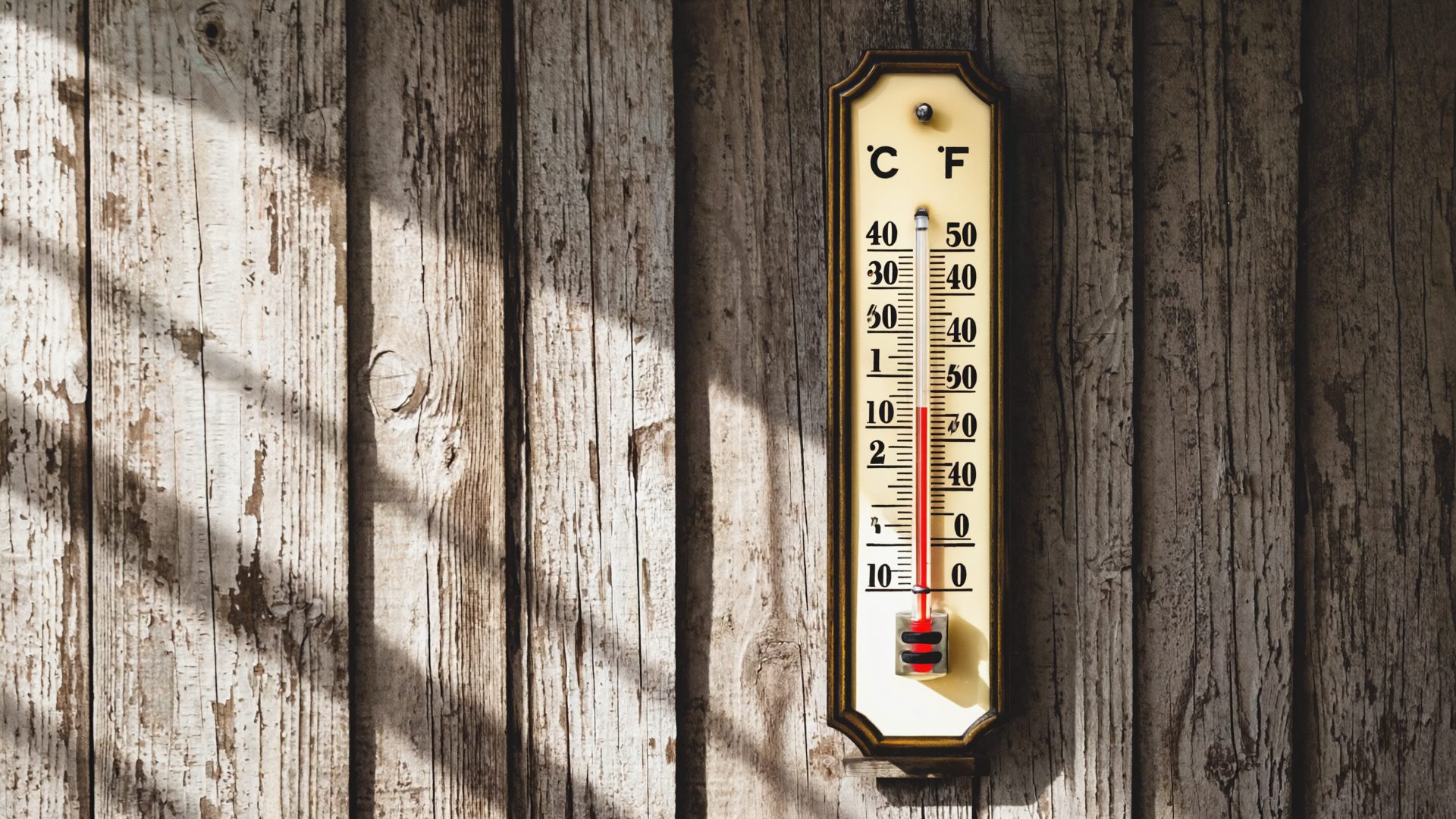 Best Indoor Outdoor Thermometers 2026