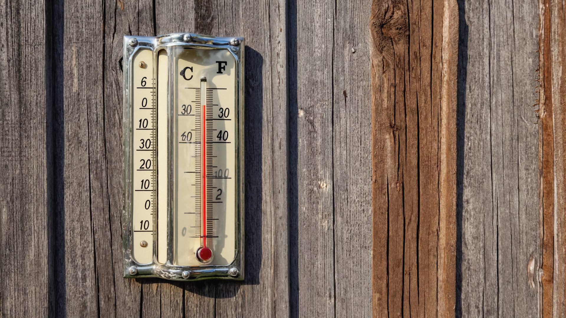 Best Indoor Thermometers & Hygrometers