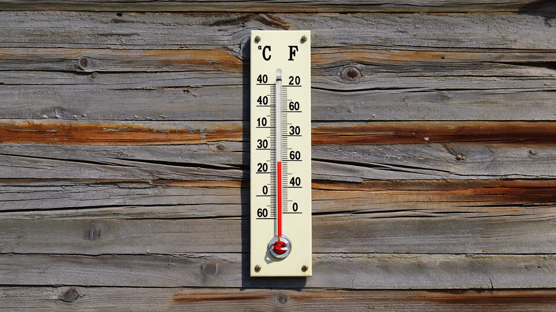 Best Outdoor Thermometers 2026